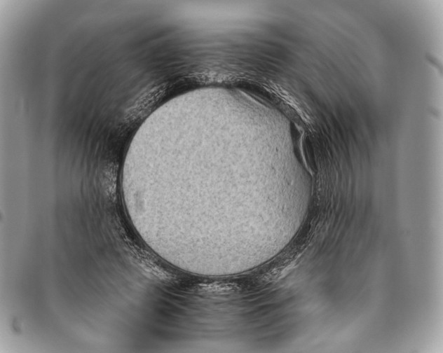 X0000096400545200802141521