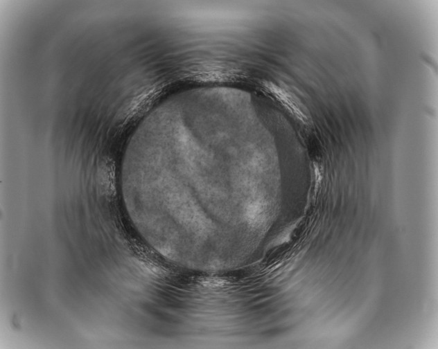 X0000096400547200802141521