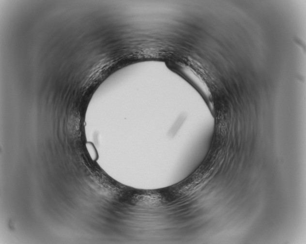 X0000096400548200802141521