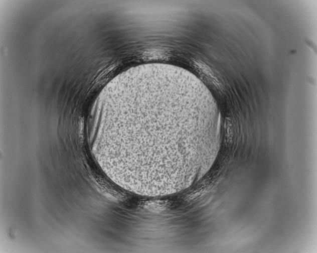 X0000096400550200802141521