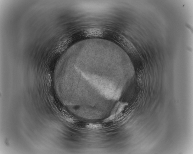 X0000096400551200802141521