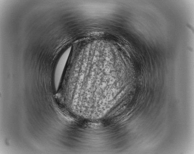 X0000096400552200802141521