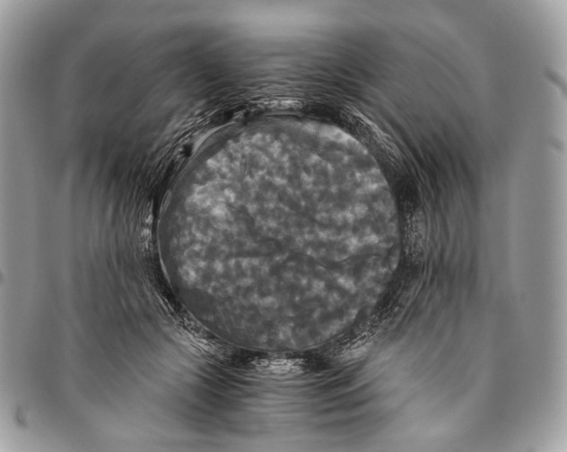 X0000096400553200802141521