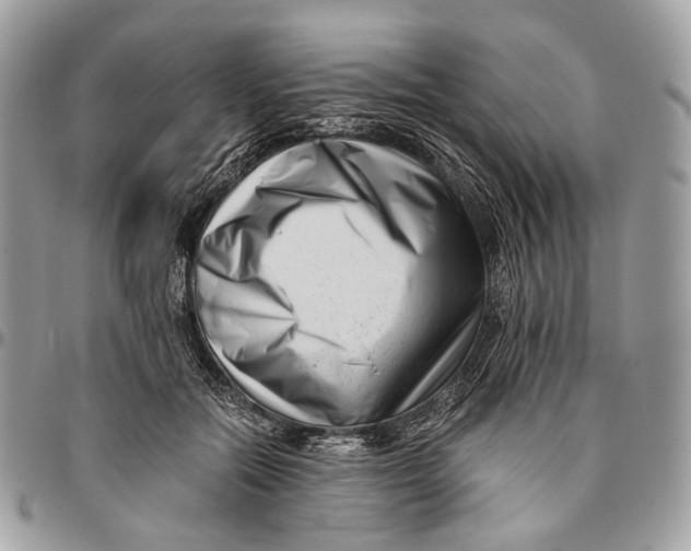 X0000096400554200802141521