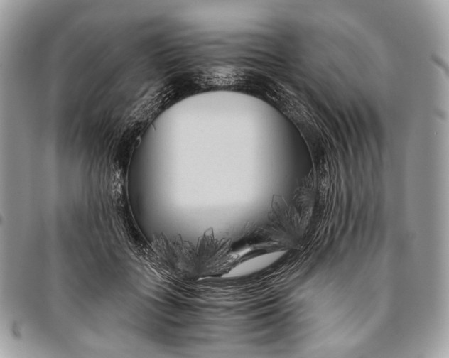 X0000096400555200802141521