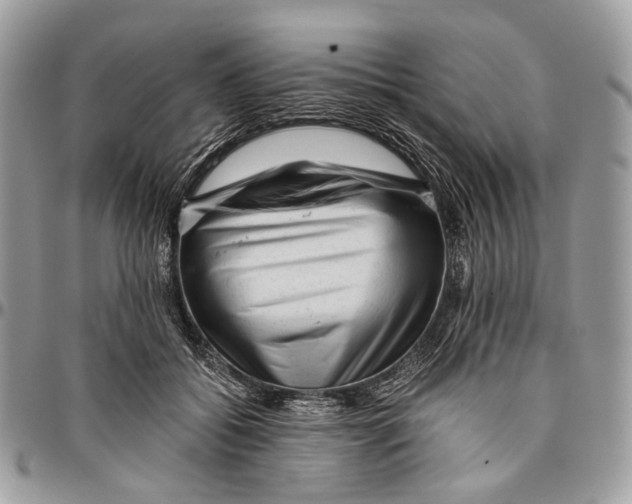 X0000096400556200802141521