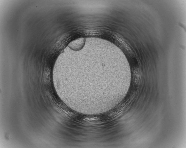 X0000096400557200802141521