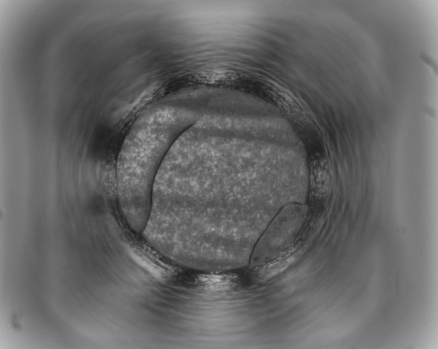 X0000096400558200802141521