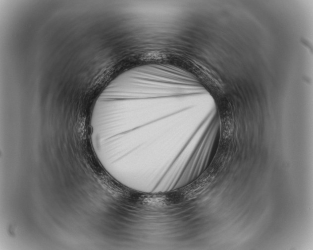 X0000096400560200802141521