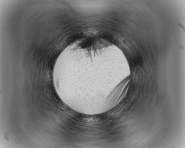 X0000096400561200802141521