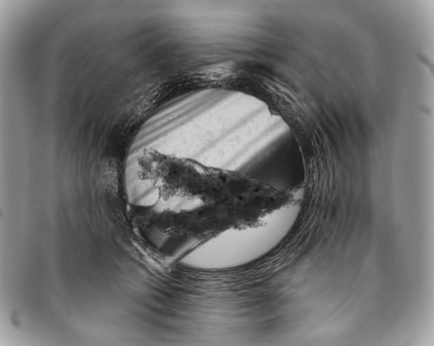 X0000096400562200802141521