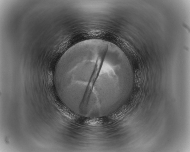 X0000096400563200802141521