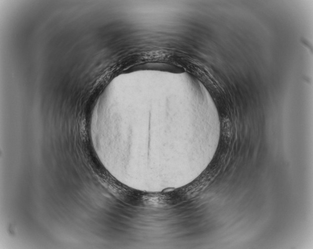 X0000096400564200802141521