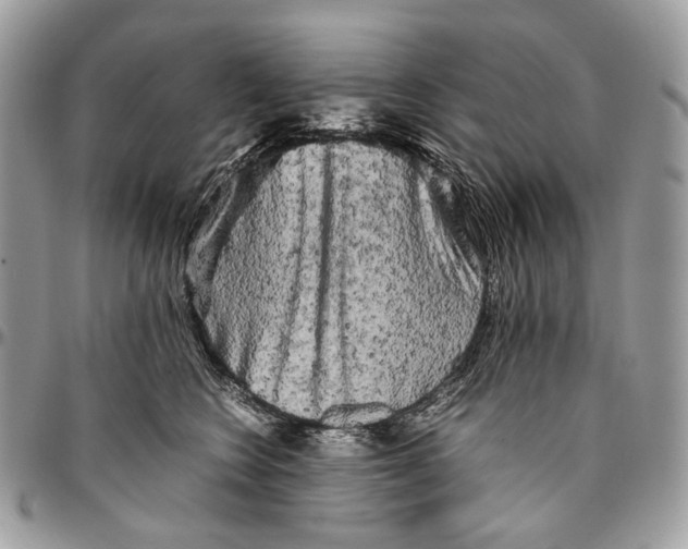 X0000096400566200802141521