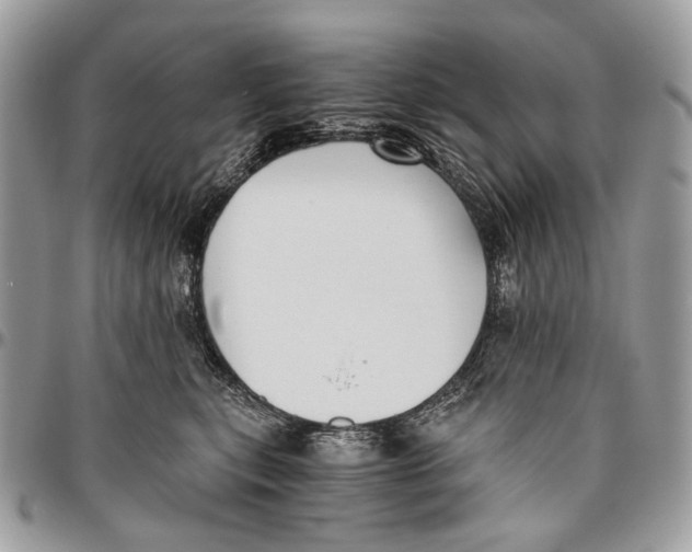 X0000096400567200802141521