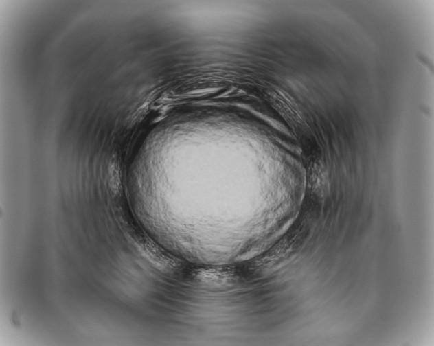 X0000096400568200802141521