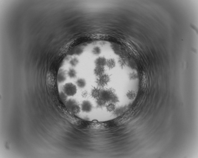 X0000096400569200802141521