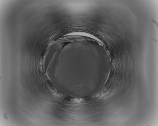 X0000096400570200802141521