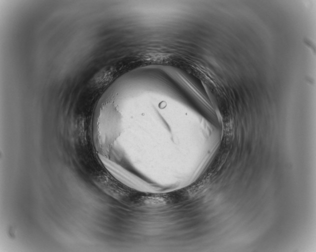 X0000096400572200802141521