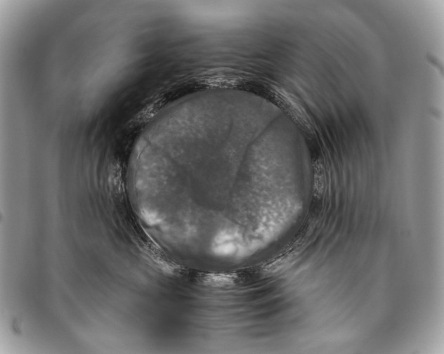 X0000096400573200802141521