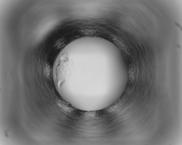 X0000096400574200802141521