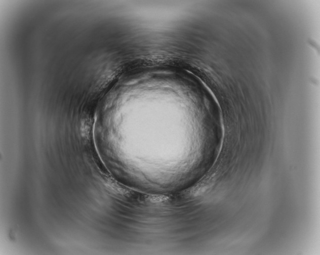 X0000096400576200802141521