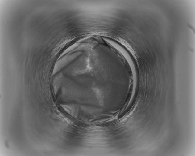 X0000096400577200802141520