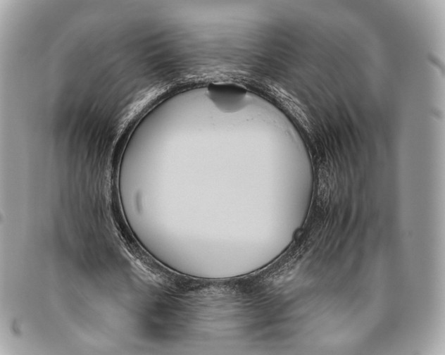 X0000096400578200802141520