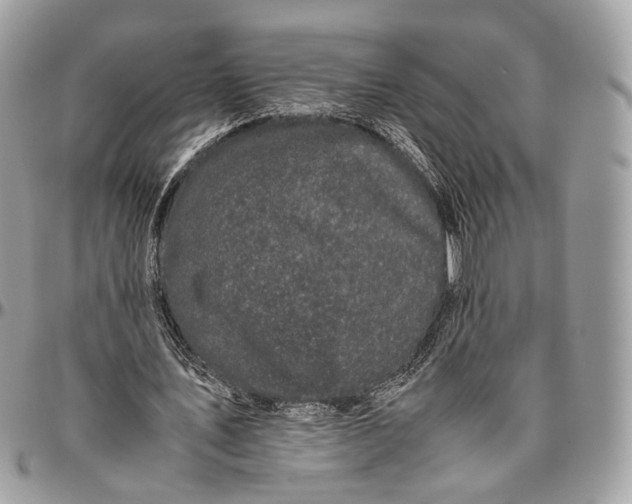 X0000096400579200802141520