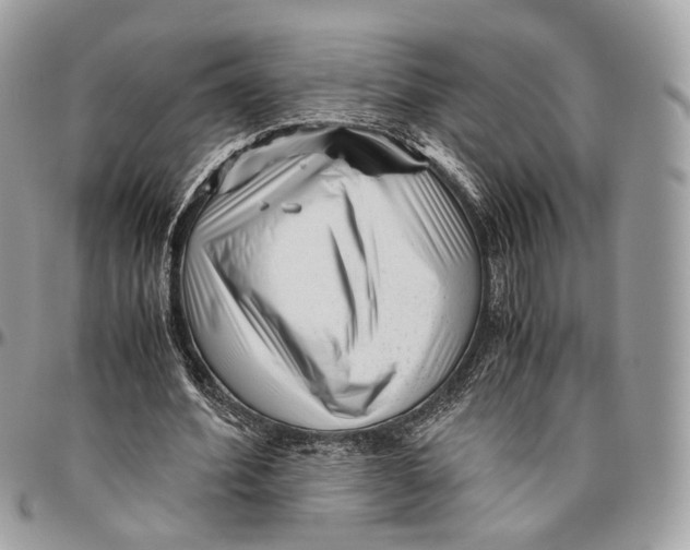 X0000096400580200802141520