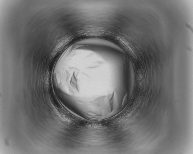 X0000096400586200802141520