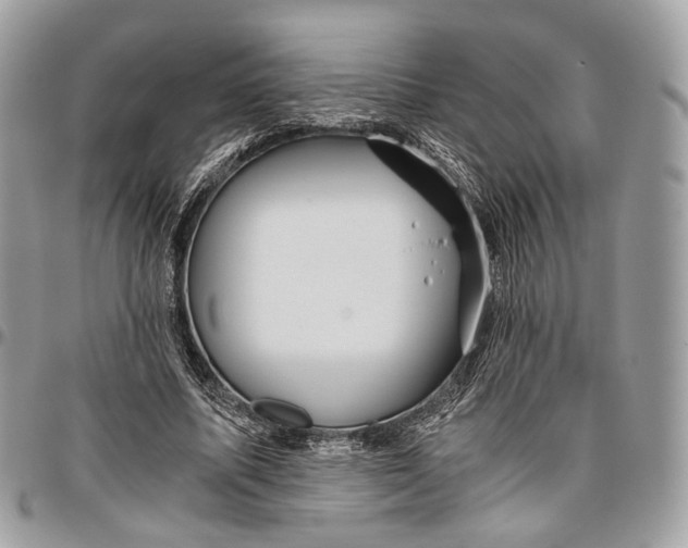 X0000096400587200802141520