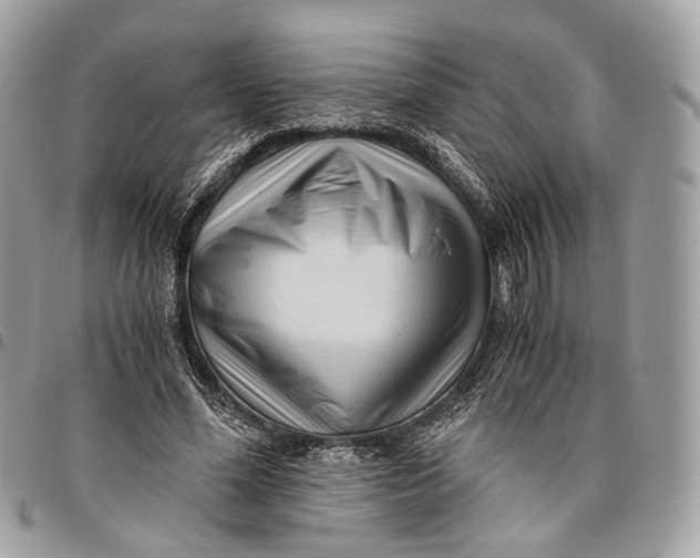 X0000096400588200802141520