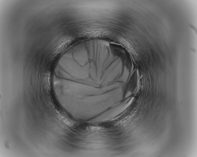 X0000096400590200802141520