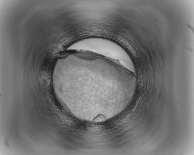 X0000096400593200802141520