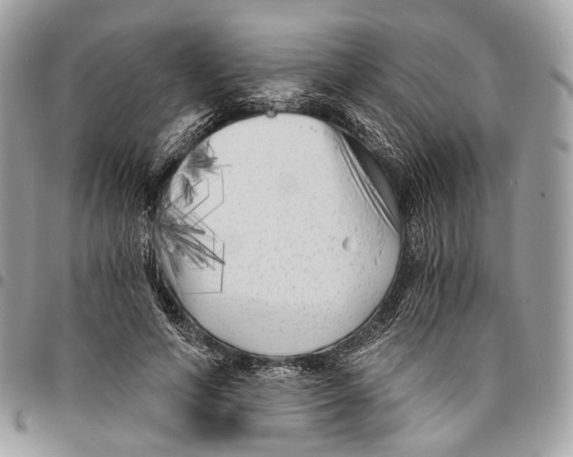 X0000096400594200802141520