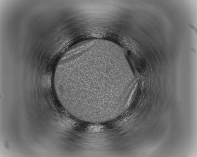 X0000096400595200802141520