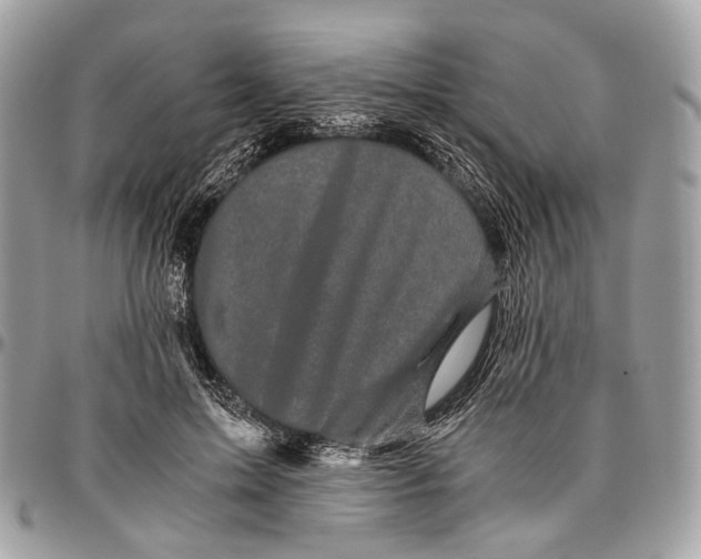 X0000096400599200802141520