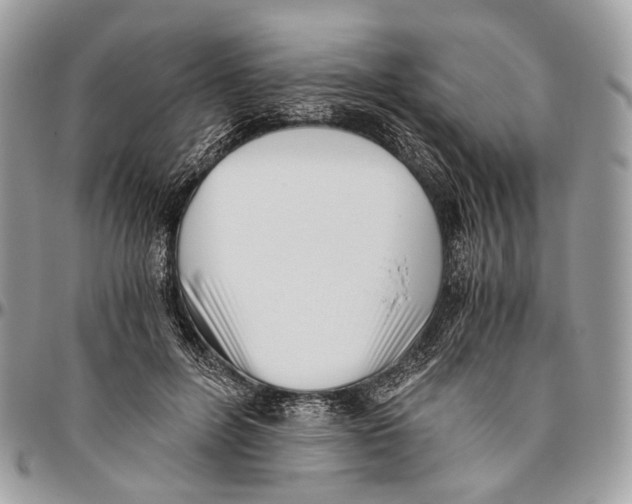 X0000096400600200802141520