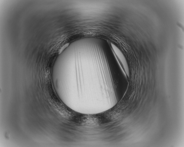 X0000096400601200802141520