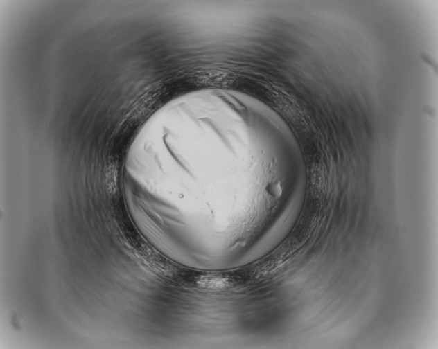 X0000096400602200802141520