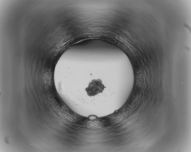 X0000096400604200802141520