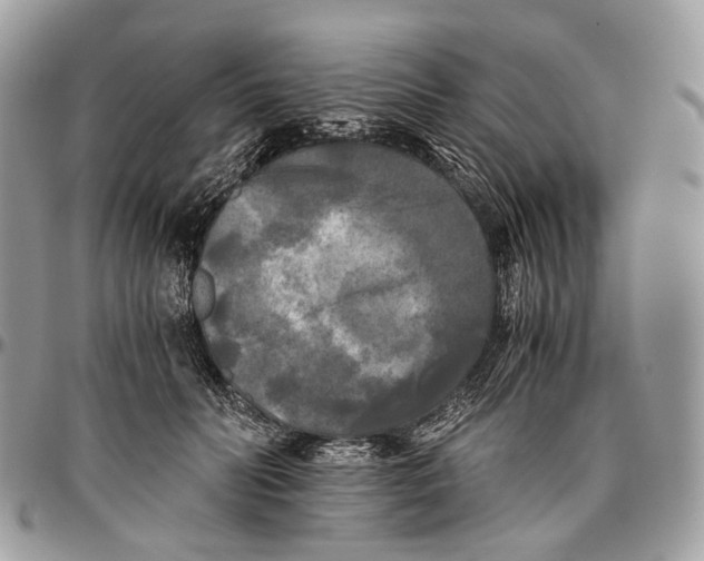 X0000096400606200802141520