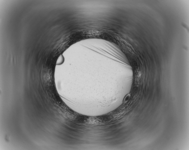 X0000096400608200802141520