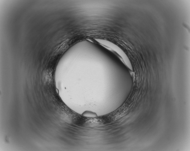 X0000096400611200802141520