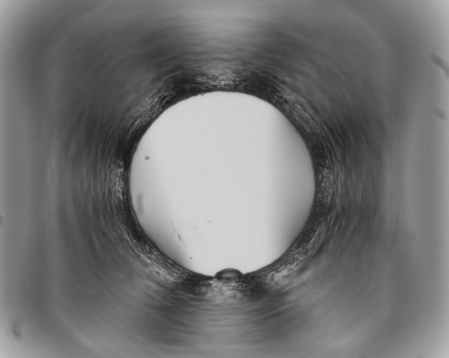 X0000096400612200802141520