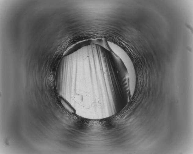 X0000096400613200802141520