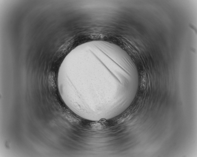 X0000096400616200802141520