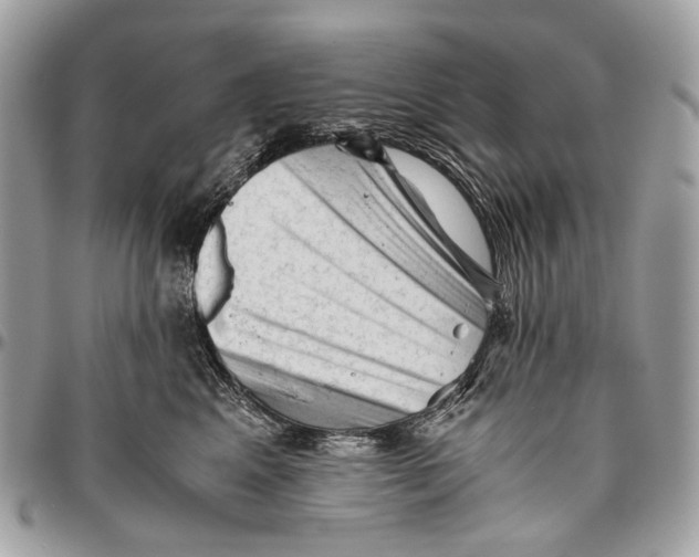 X0000096400617200802141520