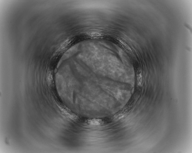 X0000096400618200802141520